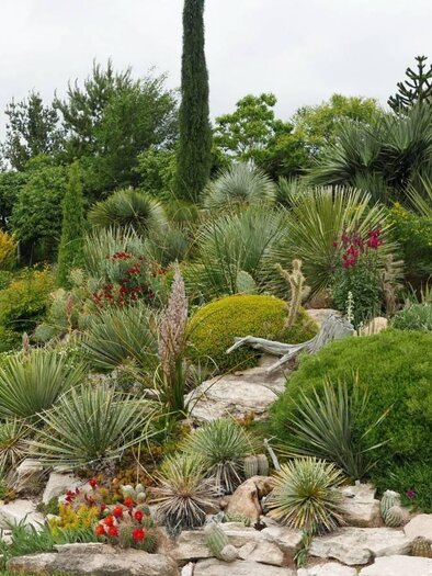 Ein schöner Garten mit verschiedenen Pflanzen und Steinen. Die grüne Landschaft ist von bunten Blumen und aufrechten Pflanzen umgeben. | © Familie Gußmagg