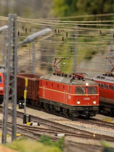 Eine Modellbahn mit mehreren roten Lokomotiven auf Schienen. Im Hintergrund sind zwei weitere Züge und Grünflächen zu sehen. | © ESV Knittelfeld