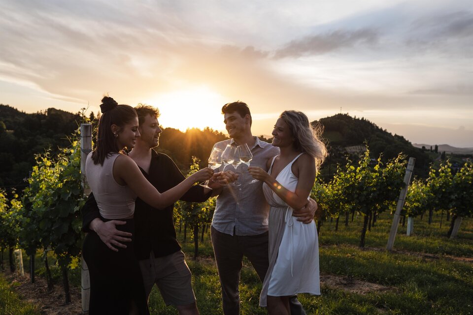 Eine Gruppe von vier Personen genießt ein Toast in einem Weinberg bei Sonnenuntergang. Die Atmosphäre ist festlich und entspannt. | © lukas elsneg