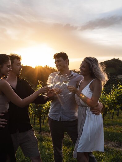 A group of four people is enjoying a toast in a vineyard at sunset. The atmosphere is festive and relaxed. | © lukas elsneg