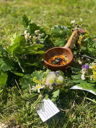 Eine Ansammlung von verschiedenen Kräutern und Blumen liegt auf dem Gras. In der Mitte befindet sich eine kleine Schale mit einer Mischung. | © Andrea Percht