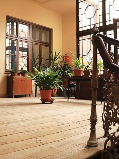 A sunny room with wooden flooring and large windows.  
Plants and furniture in a classic style create an inviting atmosphere. | © KulturQuartier Leoben