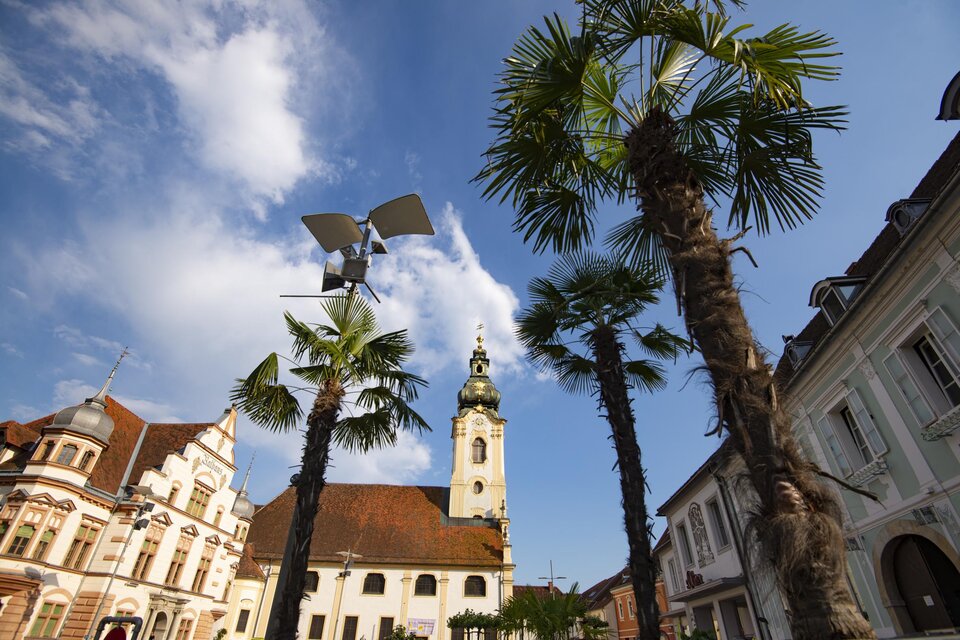 Ein schöner Platz mit Palmen und historischen Gebäuden. Im Hintergrund ist ein Kirchturm unter einem blauen Himmel zu sehen. | © Oststeiermark Tourismus