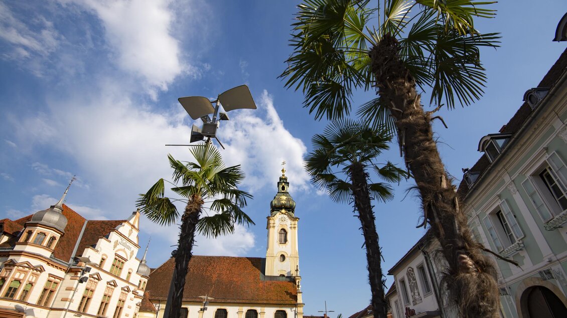 Ein schöner Platz mit Palmen und historischen Gebäuden. Im Hintergrund ist ein Kirchturm unter einem blauen Himmel zu sehen. | © Oststeiermark Tourismus