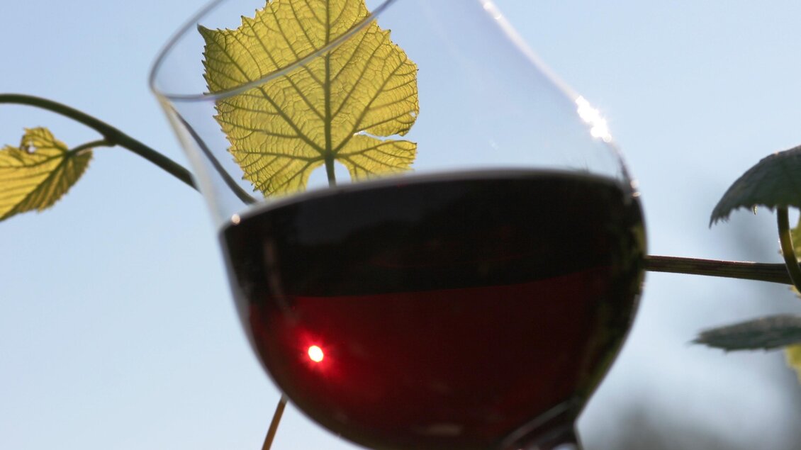 Ein Glas Rotwein steht vor einem Weinblatt und strahlt in der Sonne. Im Hintergrund ist der klare Himmel zu sehen. | © Vladi Slodnjak