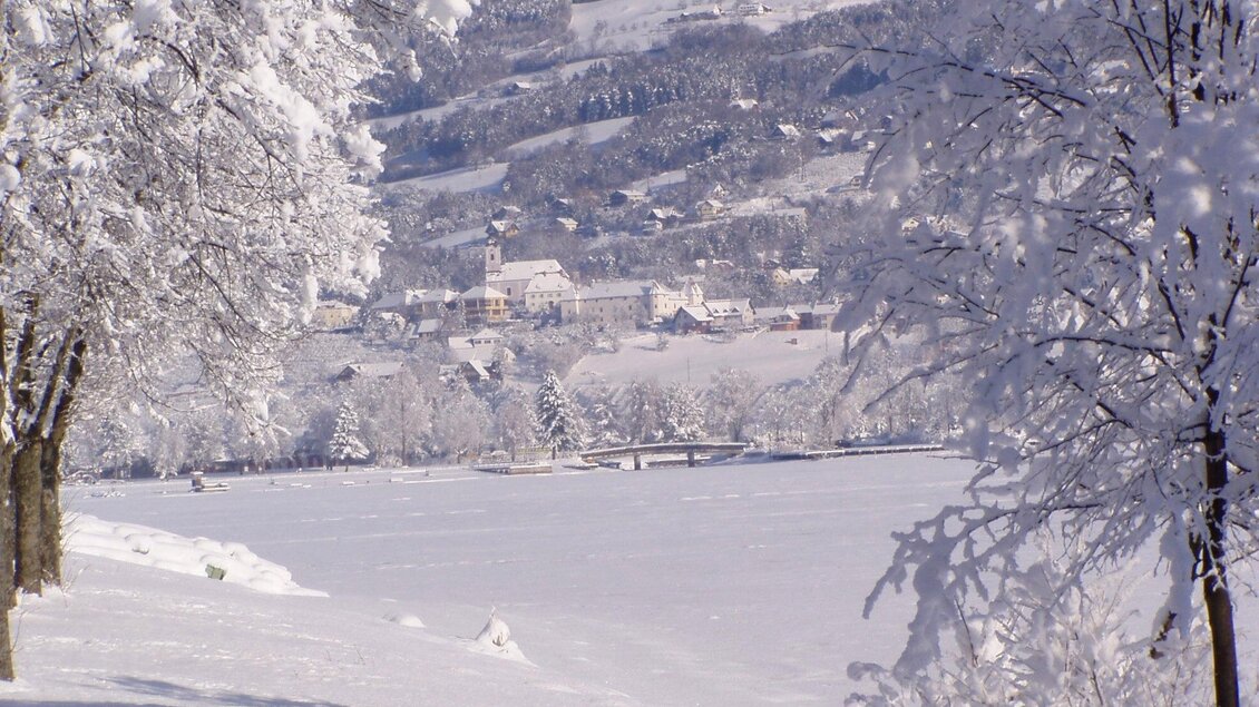 Eine schneebedeckte Landschaft mit hohen, weißen Bäumen. Im Hintergrund sind sanfte Hügel und ein kleines Dorf zu sehen. | © ApfelLand-Stubenbergsee