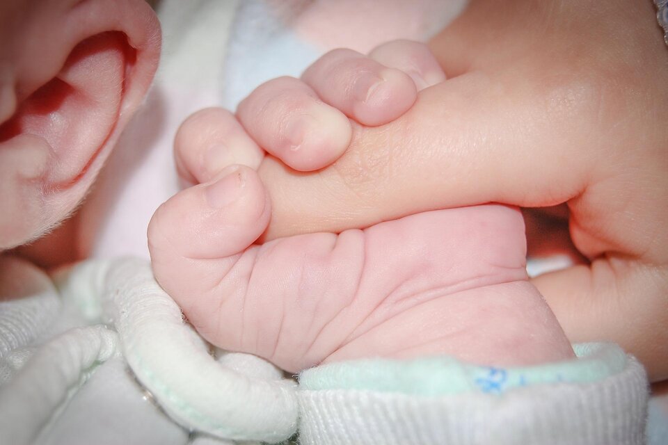 Ein Baby hält mit seiner kleinen Hand die Hand eines Erwachsenen. Im Hintergrund sind Teile des Kopfes des Babys sichtbar. | © Bild: Pixabay