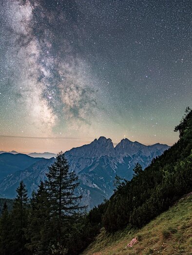 Eine beeindruckende Berglandschaft unter dem Sternenhimmel. Die Milchstraße ist klar sichtbar, umgeben von hohen Bergen und Bäumen. | © Andreas Hollinger