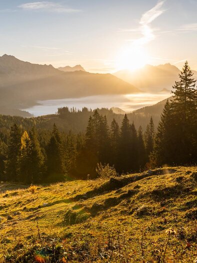 Herbst I Gesäuse I Steiermark | © TV Gesäuse