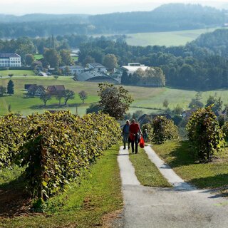 Sturmwanderung mit Blick zum Schloss Schielleiten | © Tourismusverband Oststeiermark