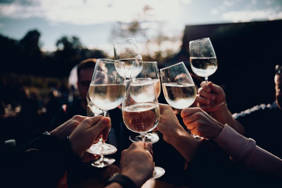 **Gemeinsam anstoßen und den Sommer genießen:** Gläser voller Wein, stimmungsvolle Abendsonne und gesellige Atmosphäre machen diesen Moment zum perfekten Ausklang eines unvergesslichen Sommertages beim Obstbau Haas in Poppendorf. | © Obstbau Haas