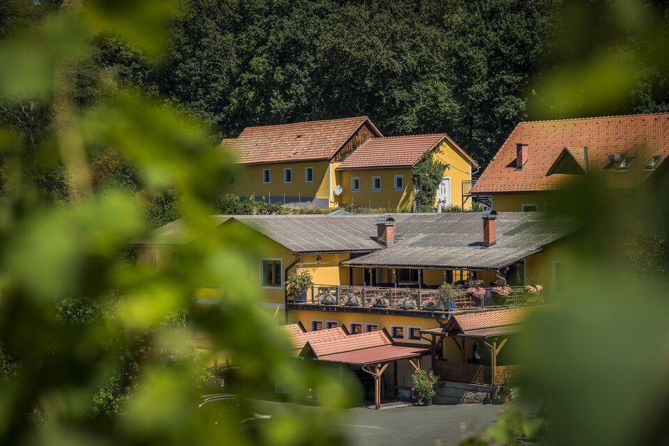 Ein gelbes Gebäude umgeben von Bäumen und Pflanzen. Es gibt eine Terrasse mit Stühlen und Tischen, die einladend wirkt. | © c-mavric