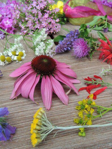 Blumen aus dem Sulamith Garten in der Gemeinde St. Kathrein am Offenegg | © Sissy Sichart