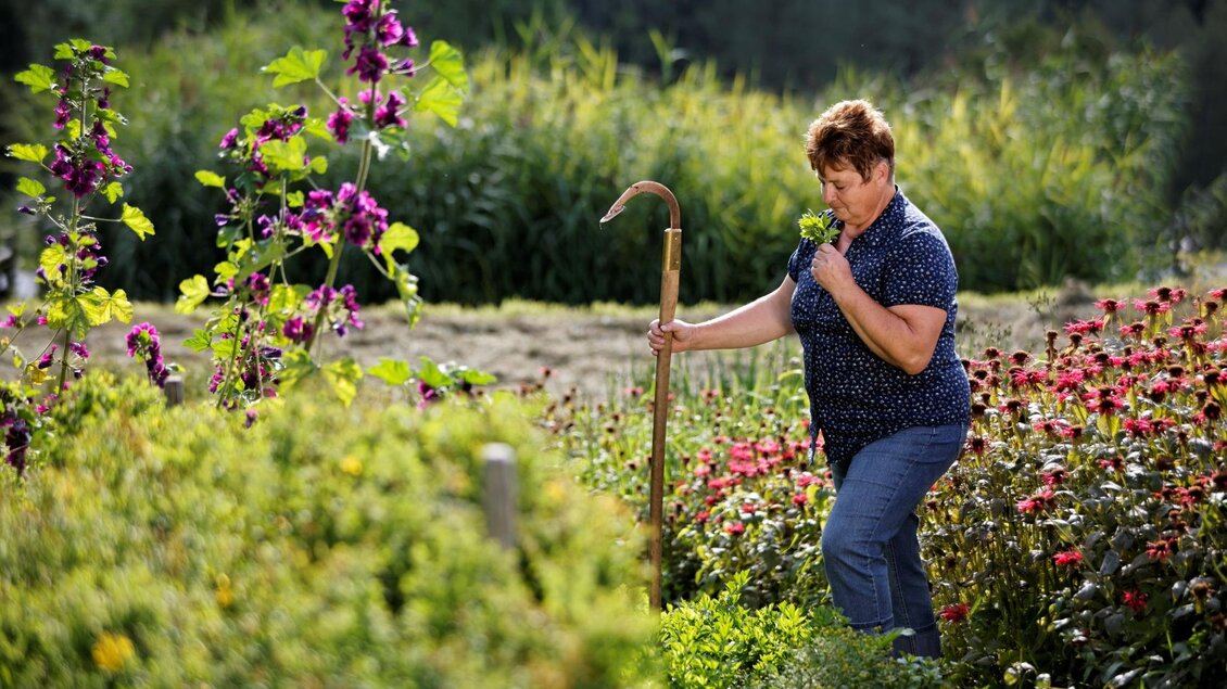 Frau im Kräutergarten in Gasen | © Tourismusverband Oststeiermark