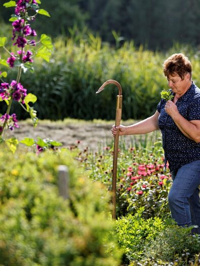 Woman in the herb garden in Gasen | © Tourismusverband Oststeiermark