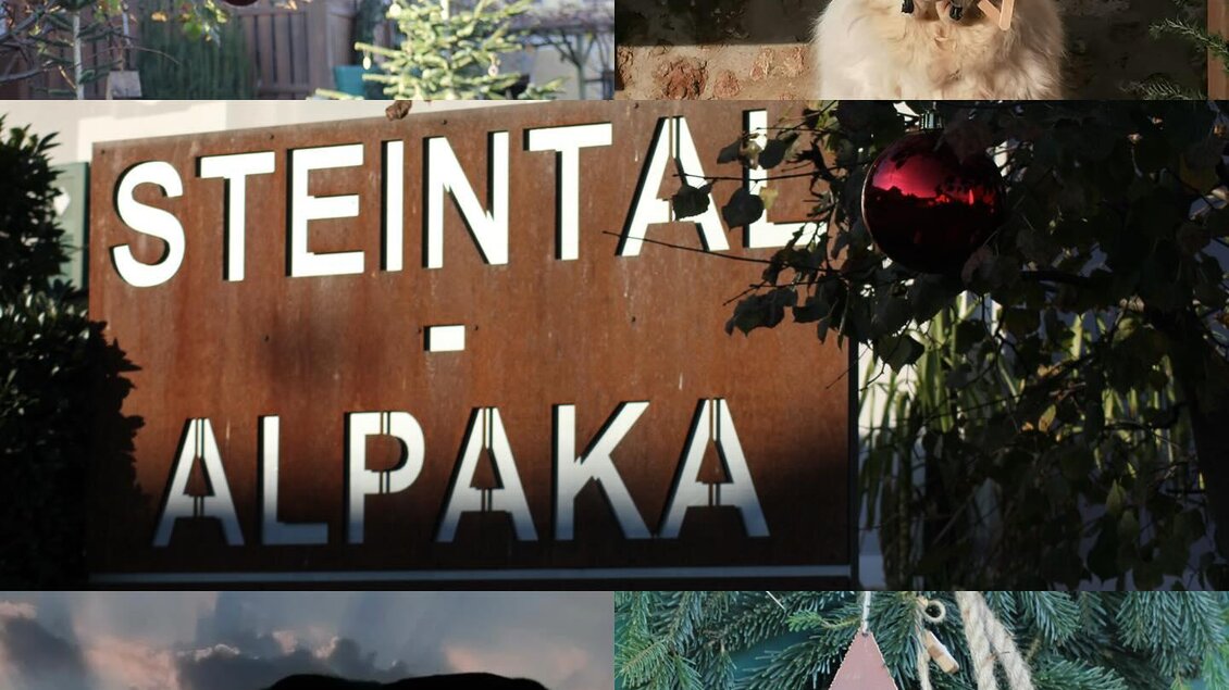 Ein collageartiges Bild zeigt weihnachtliche Dekorationen wie rote Kugeln und einen Stern, sowie das Schild „STEINTAL - ALPAKA“. Im Hintergrund sind ein Hund und ein alpakaähnliches Tier zu sehen. | © (c) Steintal-Alpaka