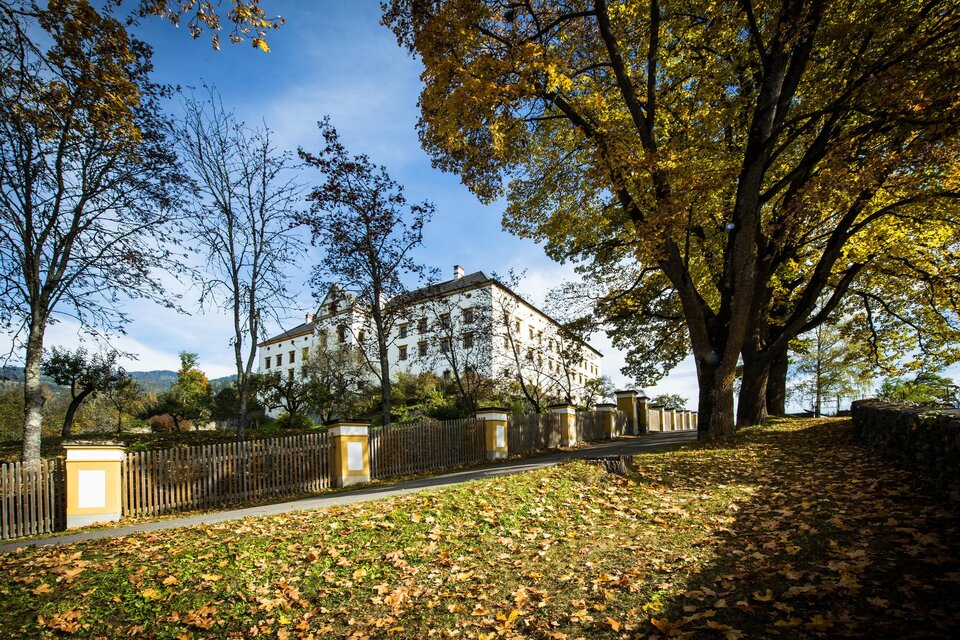 Ein elegantes Gebäude umgeben von herbstlichen Bäumen. Die bunten Blätter fallen auf den Boden und schaffen eine malerische Atmosphäre.