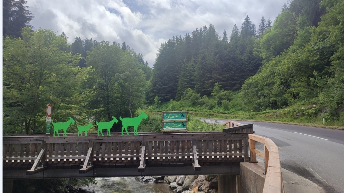 Eine Holzbrücke über einen Fluss, umgeben von grünen Bäumen. Auf der Brücke sind grüne Silhouetten von Tieren abgebildet. | © Sandra und die Ziegen