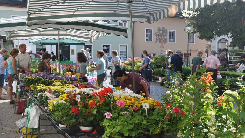 Wochenmarkt, Bad Aussee, Blumen | © Stadtgemeinde Bad Aussee