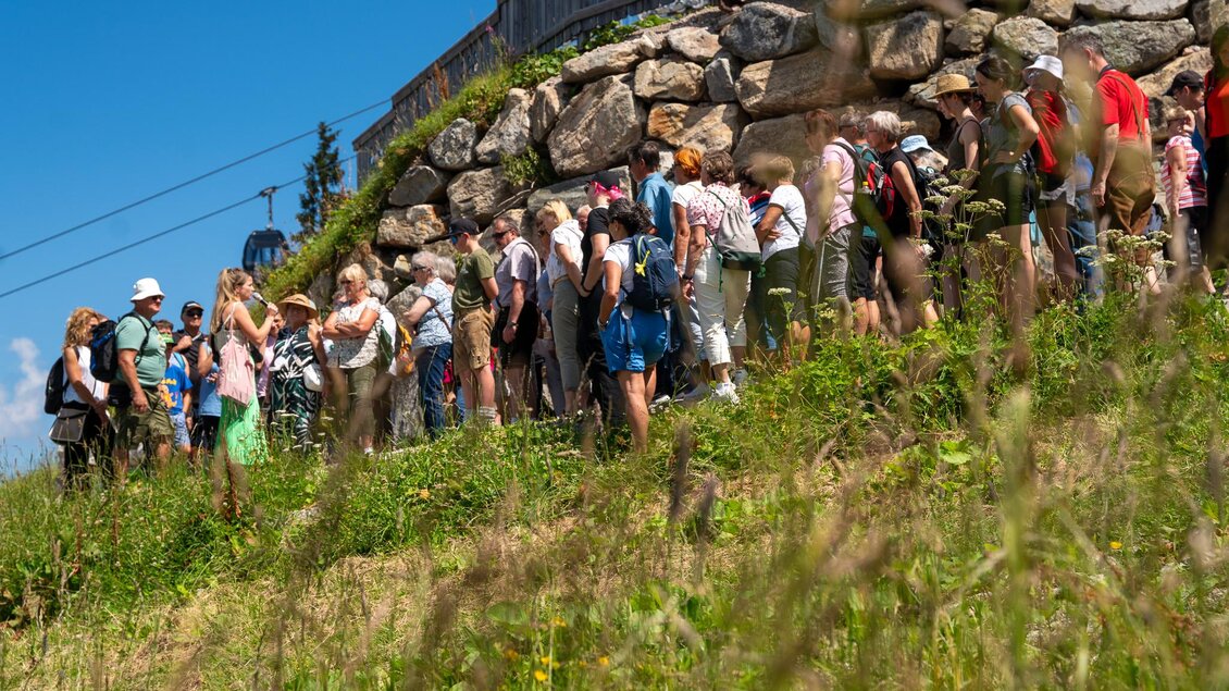 Kräuterwandung mit diplomierten Kräuterpädagogen | © Mario Egger