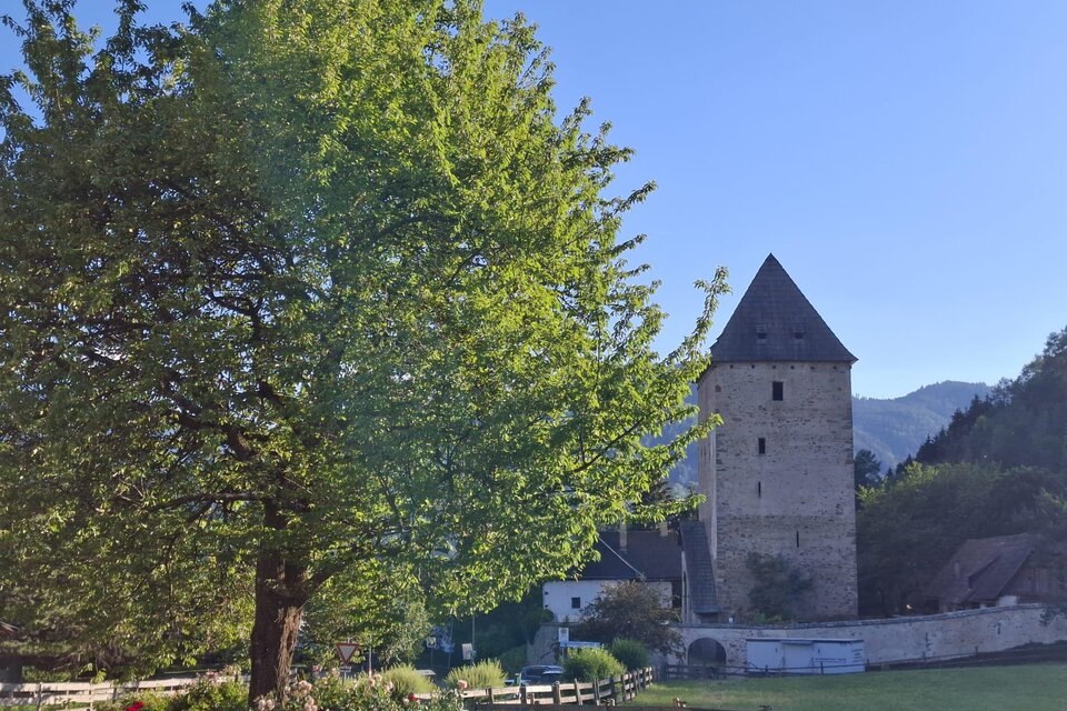 Ein historischer Turm umgeben von Bäumen und einem schönen Landschaftsbild. Der Himmel ist klar und die Natur wirkt friedlich. | © TV Murau