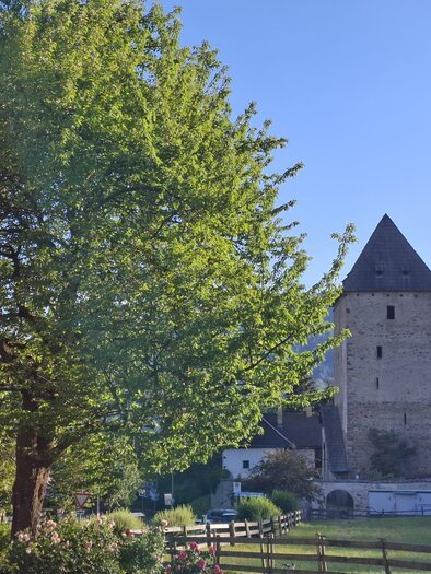 A historic tower surrounded by trees and a beautiful landscape. The sky is clear and nature feels peaceful. | © TV Murau