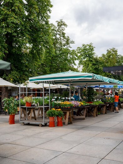 Bauernmarkt am Lendplatz | © (c) Region Graz - 1000things | © (c) Region Graz - 1000things