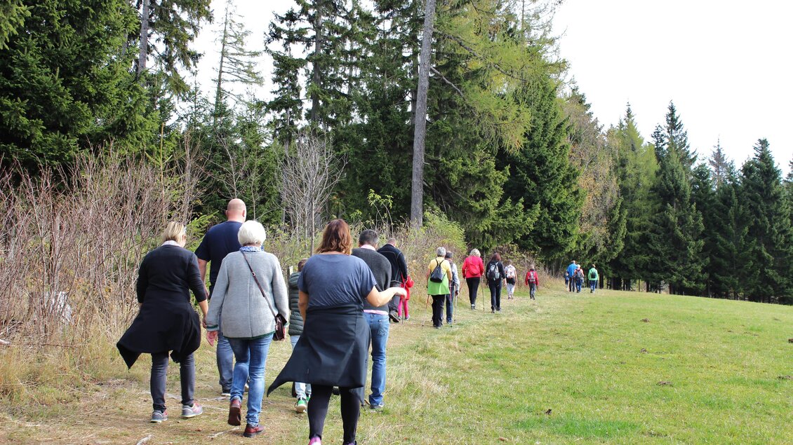 Wanderer_Vogelbeerwandertag_Oststeiermark | © Tourismusverband Oststeiermark