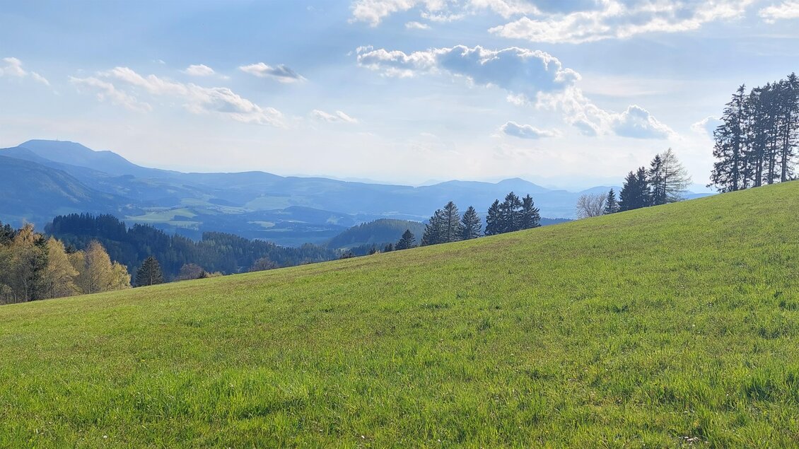 Landschaft_Vogelbeerweg_Oststeiermark | © Tourismusverband Oststeiermark