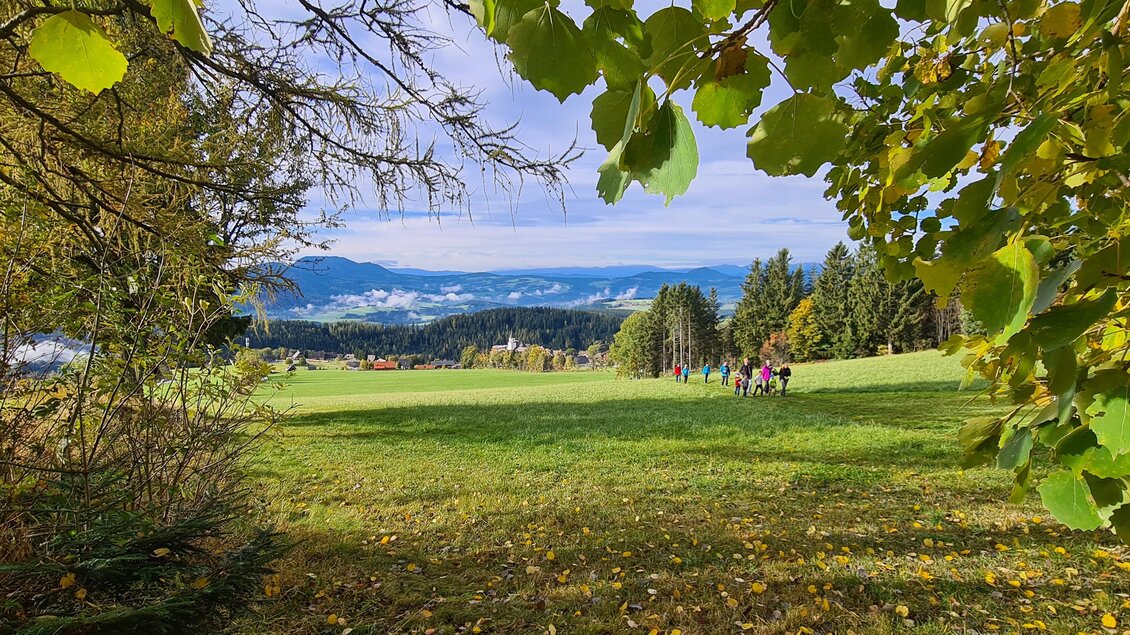 Vogelbeer-Panoramaweg_St. Kathrein am Offenegg2 | ©  Katharina Macher