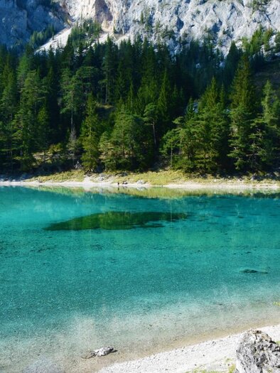 A quiet lake surrounded by dense trees. A bench invites to linger and enjoy nature. | © Katarina Hager