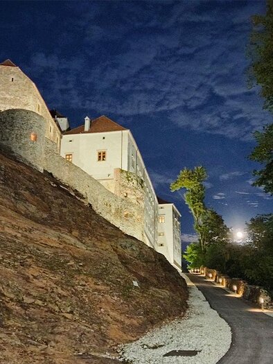 An impressive castle on a hill, illuminated at night. The path to the castle is clearly visible and surrounded by trees. | © Gartenschloss Herberstein