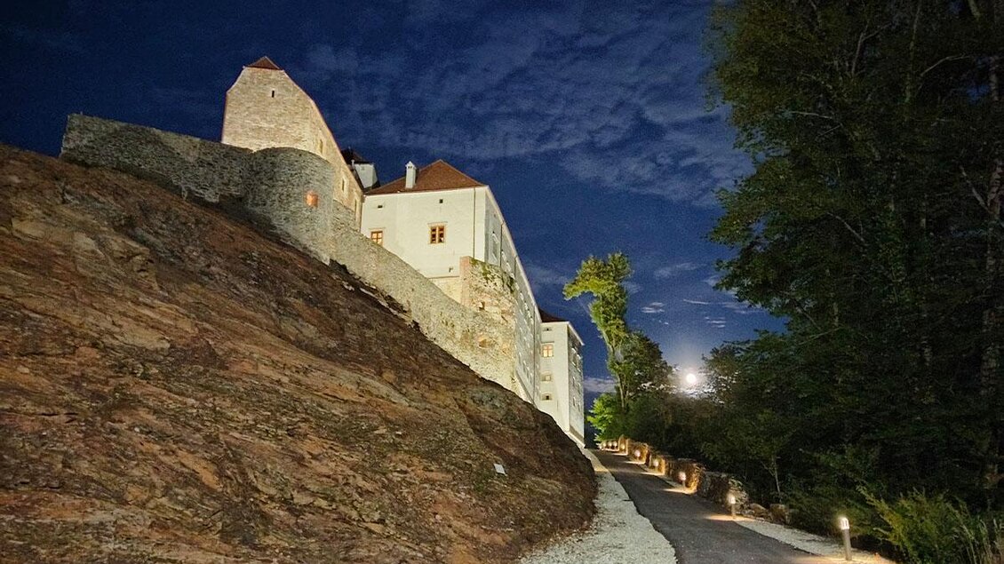 Eine beeindruckende Burg auf einem Hügel, beleuchtet bei Nacht. Der Weg zur Burg ist klar sichtbar und von Bäumen umgeben. | © Gartenschloss Herberstein