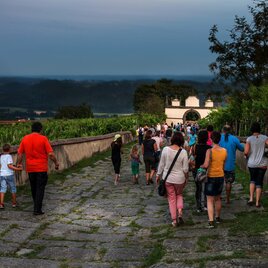 A group of people strolls along a paved path through a picturesque landscape. The full moon shines in the sky above the vineyards. | © Rudi Ferder