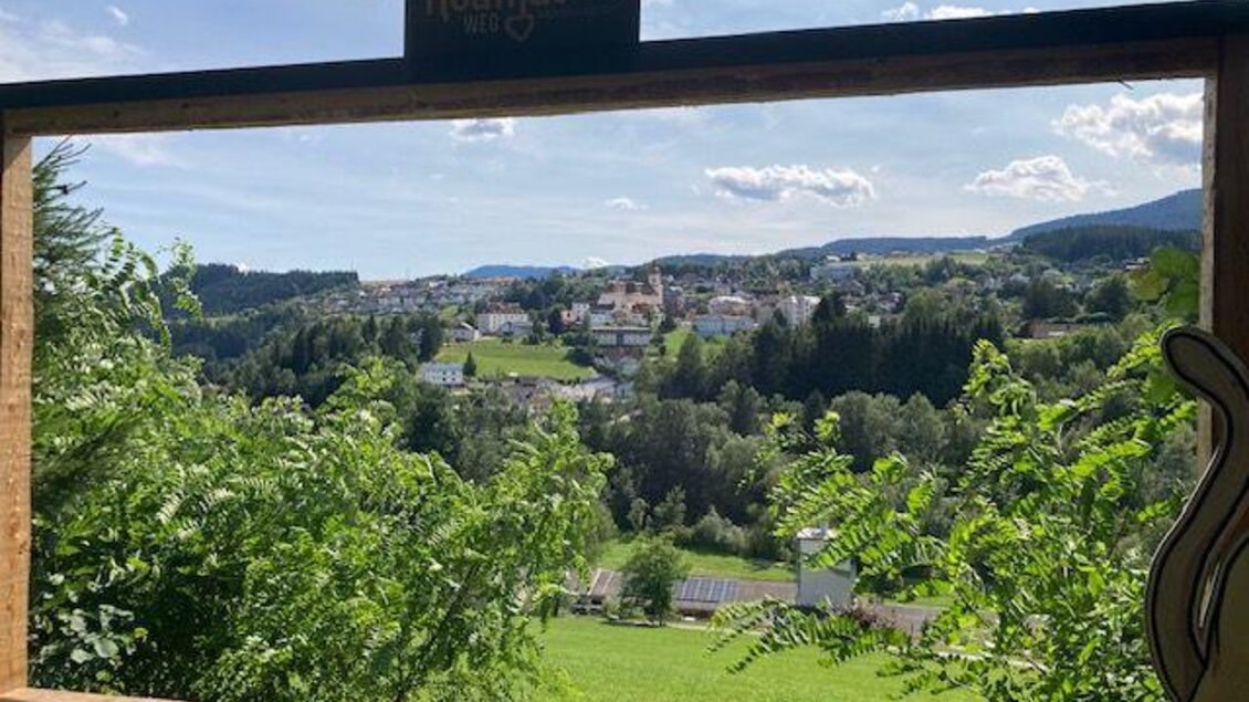 Ein Ausblick von einem Teilstück der Edlseerwanderung in Birkfeld über Wald und Wiesen. | © Die Edlseer