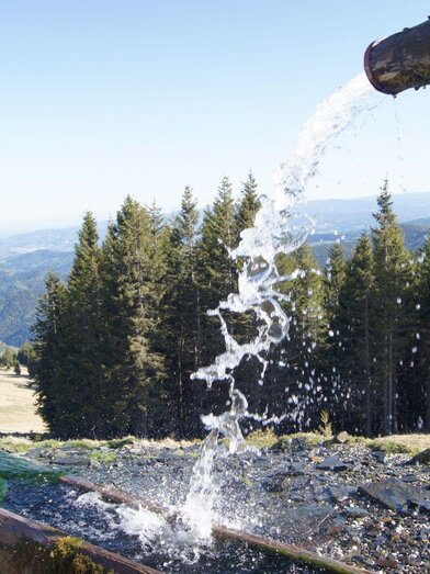 Brunnen bei der Zeissmannhütte | © Kohlbacher | © Kohlbacher
