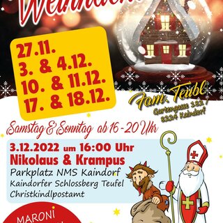 Weihnachtshaus_Plakat_Oststeiermark