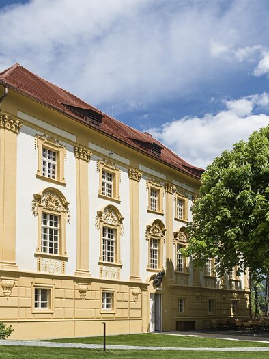 Ein historisches Gebäude mit yellowfarbenen Wänden und kunstvollen Details. Im Vordergrund befindet sich ein großer, grüner Baum und ein klarer Himmel. | © Tauroa GmbH