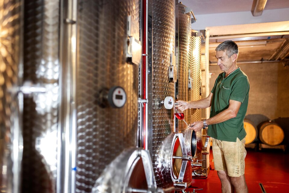 Ein Mann füllt Wein aus einem großen Edelstahltank in ein Glas. Im Hintergrund sind weitere Weintanks und Holzfässer zu sehen. | © @Netzwerk Kulinarik Harald Eisenberger