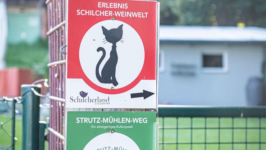 Ein Wegweiser an einem Pfosten mit Hinweisen zu "Schilcher-Weinwelt" und "Strutz-Mühlen-Weg". Die Schilder zeigen jeweils eine Katze und ein Haus. | © @FlorianJöbstl