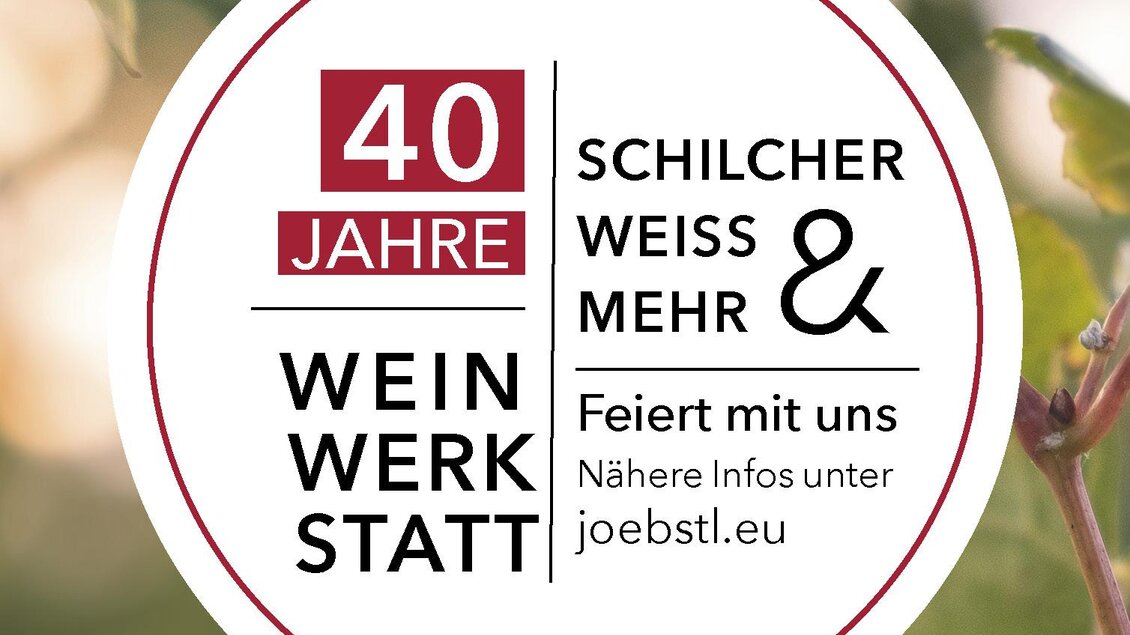 Ein runder Aufkleber mit der Aufschrift „40 Jahre Weinwerkstatt“. Das Design enthält bunte Schriftzüge und Blätter im Hintergrund. | © @jöbstl