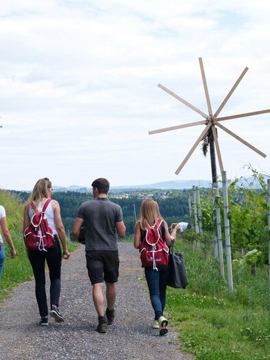 Eine Gruppe von vier Personen wandert einen Weg entlang, umgeben von Weinreben und grüner Landschaft. Im Hintergrund steht ein Windrad unter einem bewölkten Himmel. | © cdm - Claudia Dunst