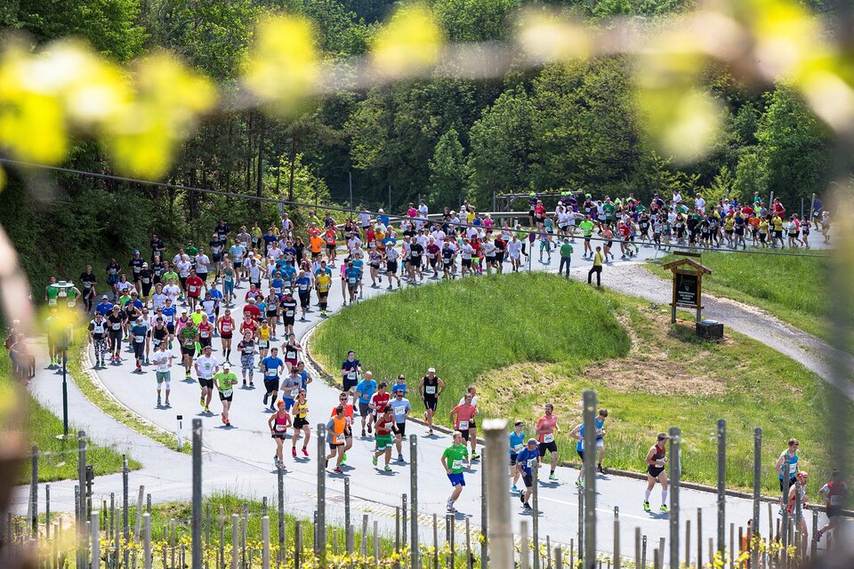 Eine große Gruppe von Menschen läuft auf einer malerischen Strecke durch die Natur. Die Veranstaltung findet an einem sonnigen Tag statt, umgeben von Bäumen und Grünflächen. | © WelschLauf Südsteiermark | SCHIFFER-SYMBOL