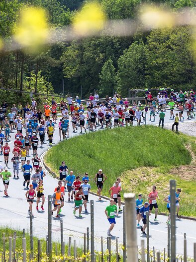 A large group of people is running on a picturesque path through nature. The event takes place on a sunny day, surrounded by trees and greenery. | © WelschLauf Südsteiermark | SCHIFFER-SYMBOL