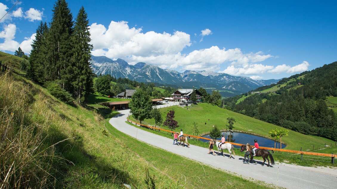 Eine malerische Landschaft mit grünen Hügeln und hohen Bergen im Hintergrund. Reiter genießen einen Ausritt entlang einer kurvenreichen Straße. | © Dominik Steiner