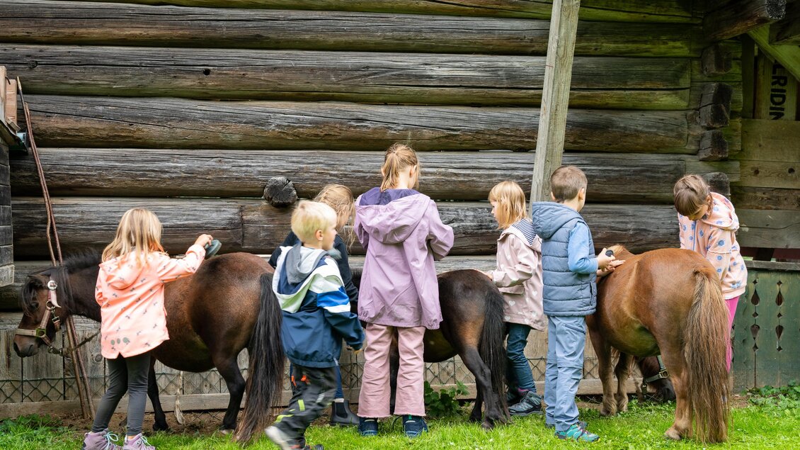 Eine Gruppe von Kindern bürstet kleine Ponys neben einem Holzhaus. Die Kinder haben Spaß im Freien und zeigen liebevolle Pflege für die Tiere. | © TVB/Laura Passenbrunner
