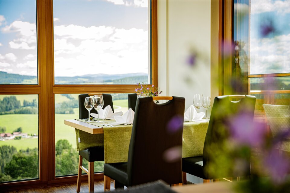 Zu sehen ist das Restaurant im Amlblick mit gedecktem Tisch und ausblick ins Grüne. | © Almblick