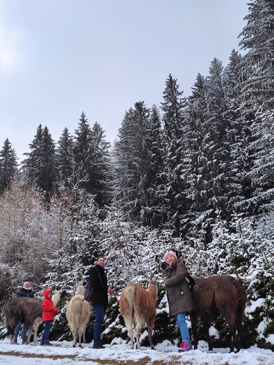 Mehrere Menschen mit Ponys in einer verschneiten Waldlandschaft. Die Umgebung ist von hohen, grünen Bäumen und einer winterlichen Atmosphäre geprägt. | © LamaTouren-Orso-Gigleitner