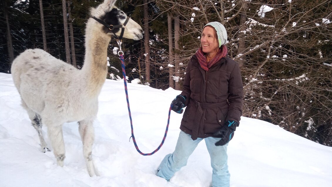 Eine Frau steht im Schnee und hält ein Lama an der Leine. Im Hintergrund sind schneebedeckte Bäume zu sehen. | © LamaTour-Orso Gigleitner