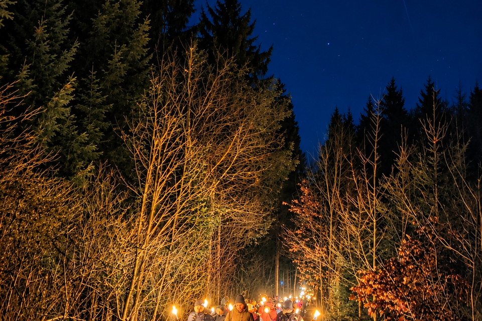 Eine Gruppe von Menschen wandert auf einem schmalen Weg durch den Wald, während sie Fackeln tragen. Es ist Nacht und die Umgebung ist dunkel, aber der Weg wird von den Fackeln erleuchtet.